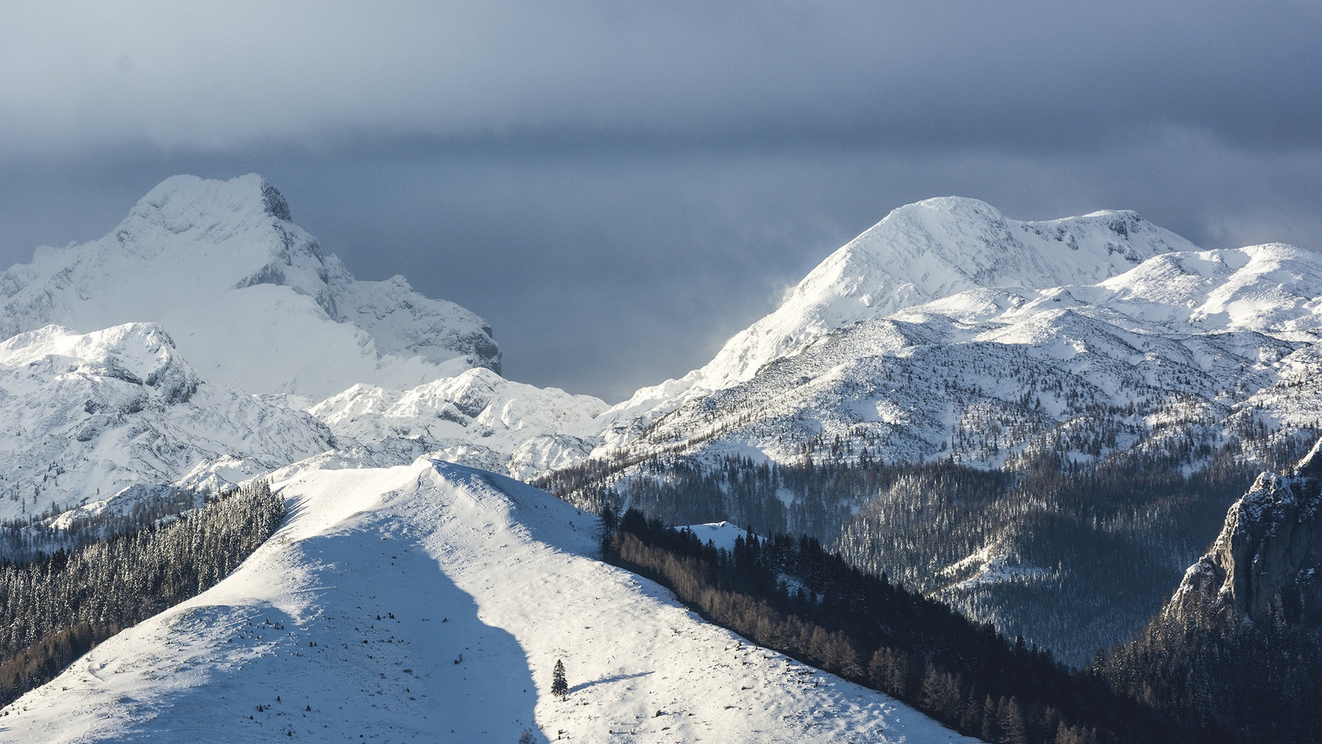 Wind of Winter by