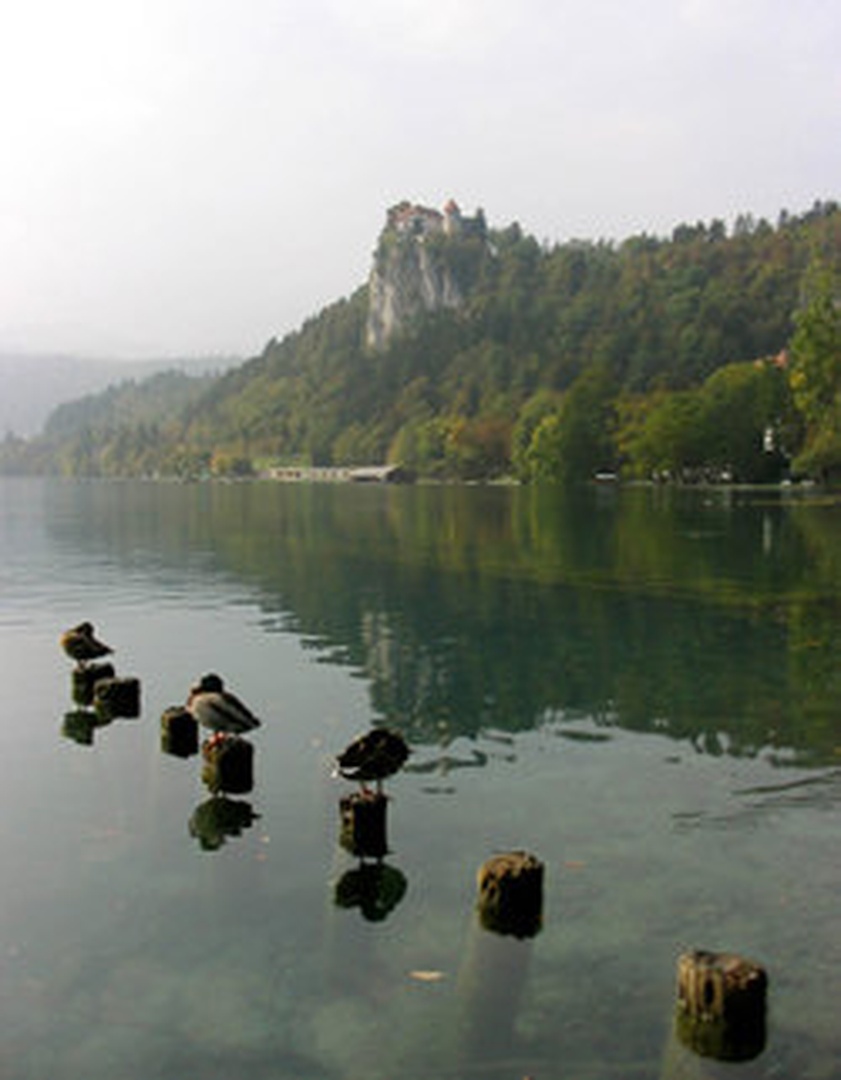 slovenski kraji by