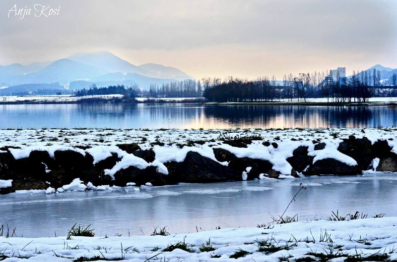 Narava, Šoštanjsko jezero by Anja Kosi