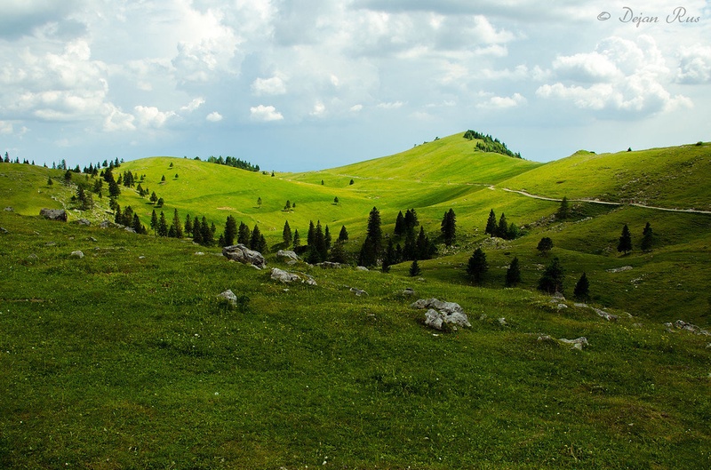 Velika planina by Dejan Rus