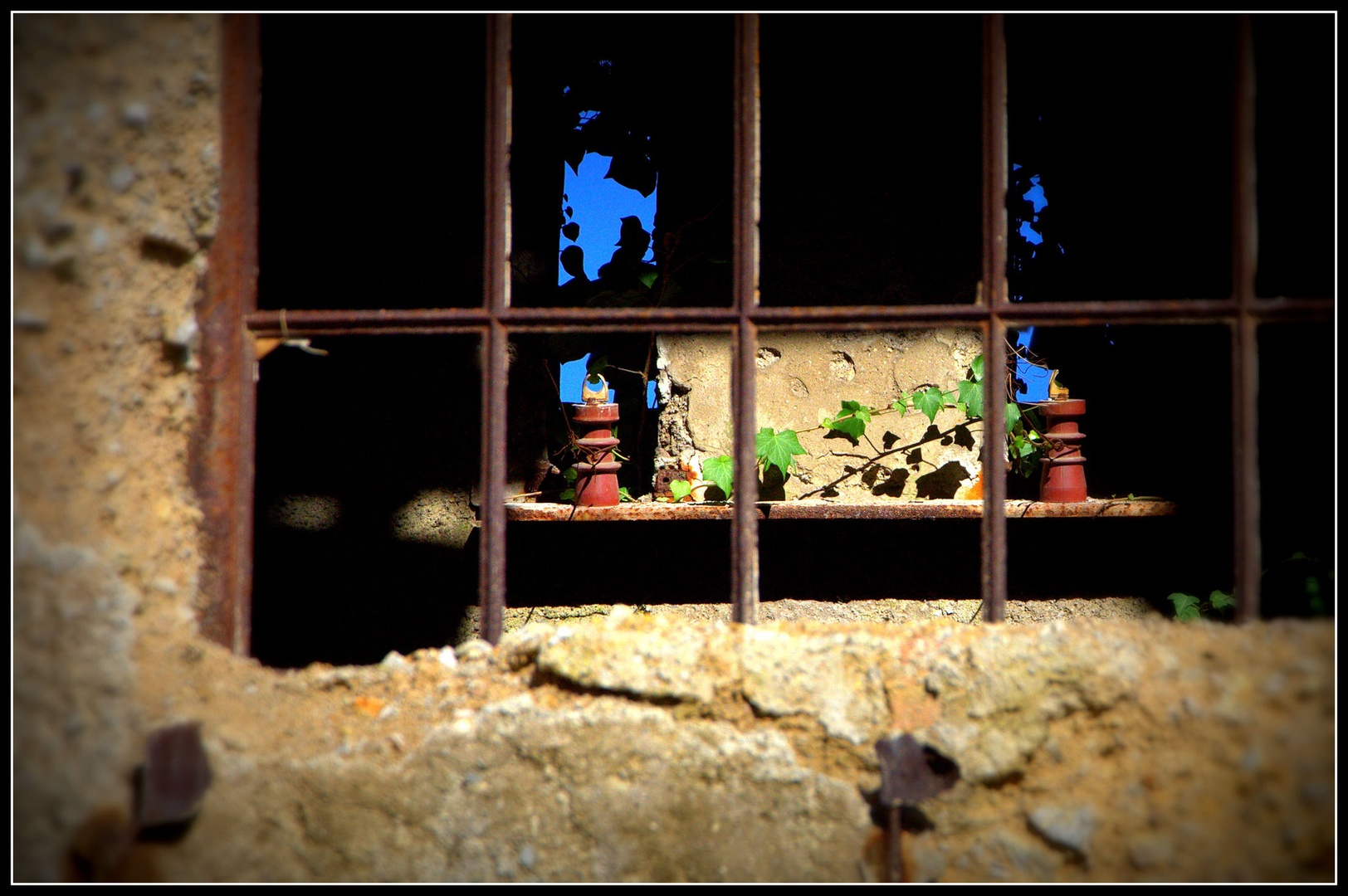 ...the nature takes back... by Tadej M