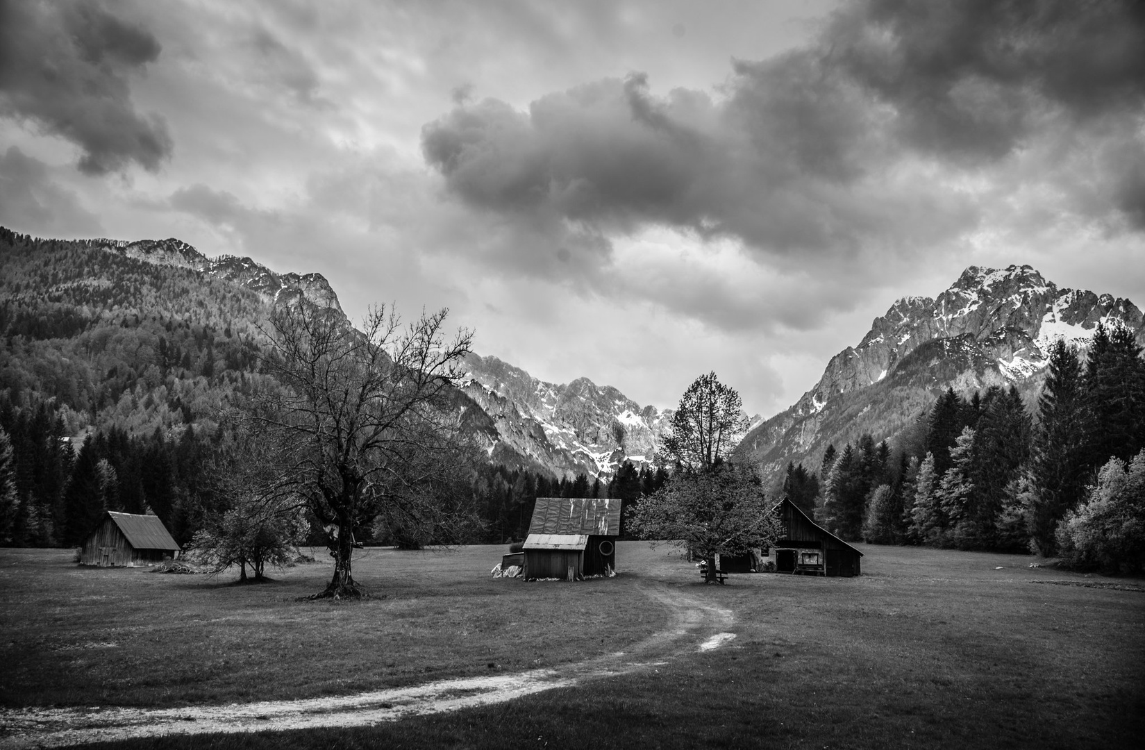 Zatišje pred nevihto by Tadej M