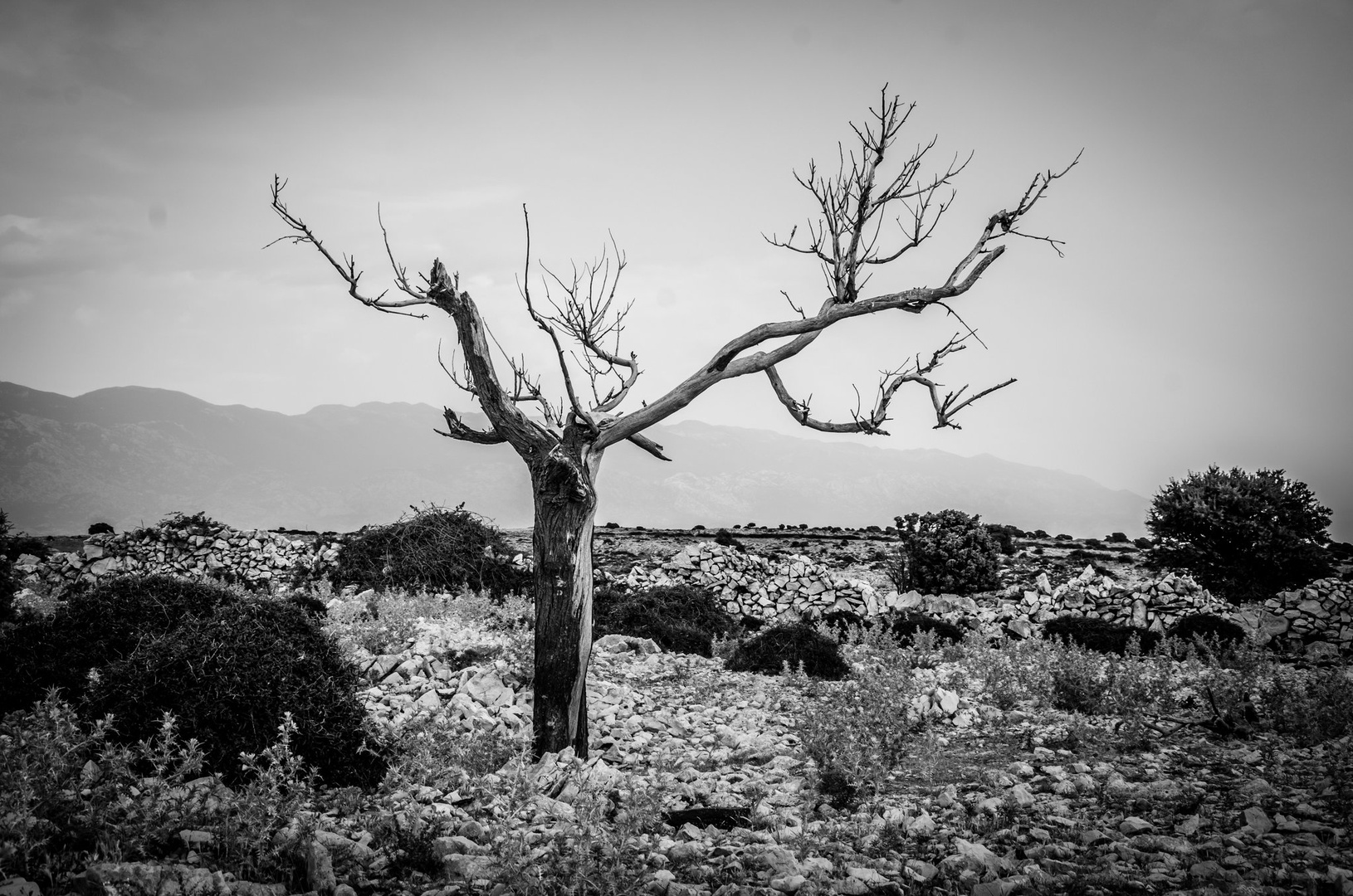 Odpisani... by Tadej M