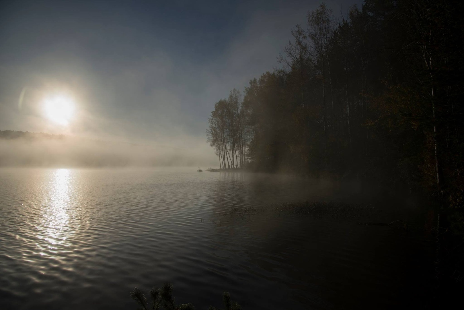 Jutro by Dušan G.