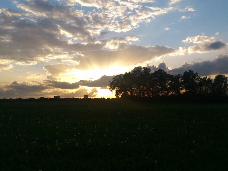 sunset by Gregor M.