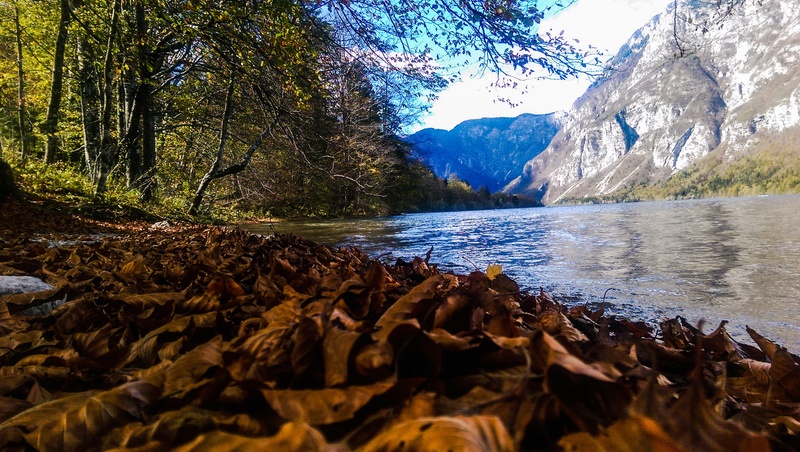 bohinjsko jezero by Gregor M.