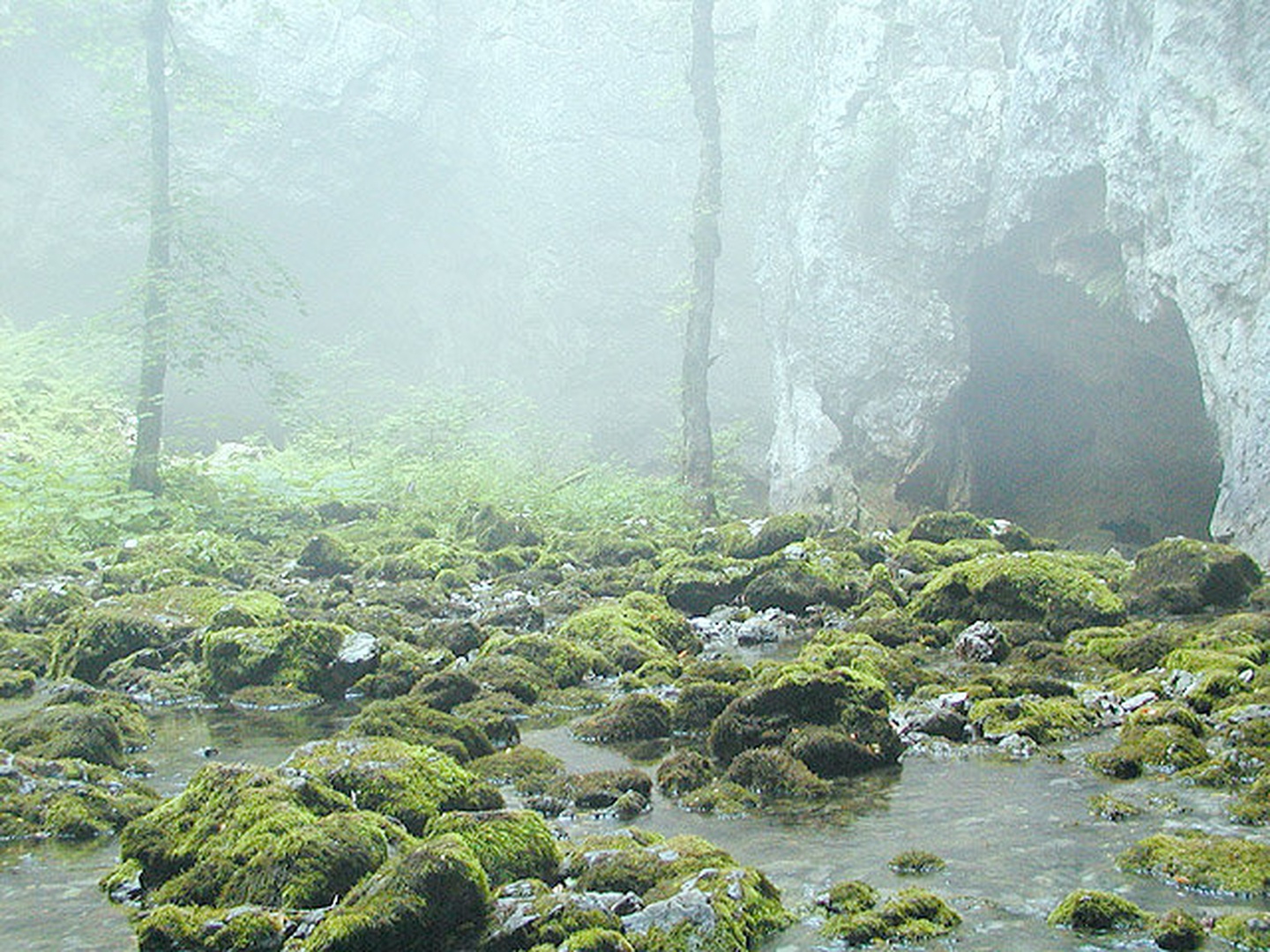 Rakov škocjan by Radian