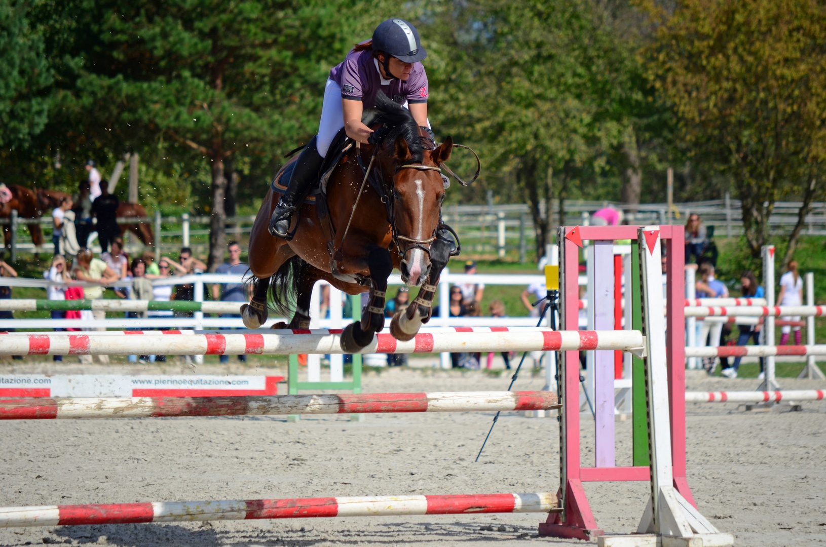 flying horse by Rudi Volkar
