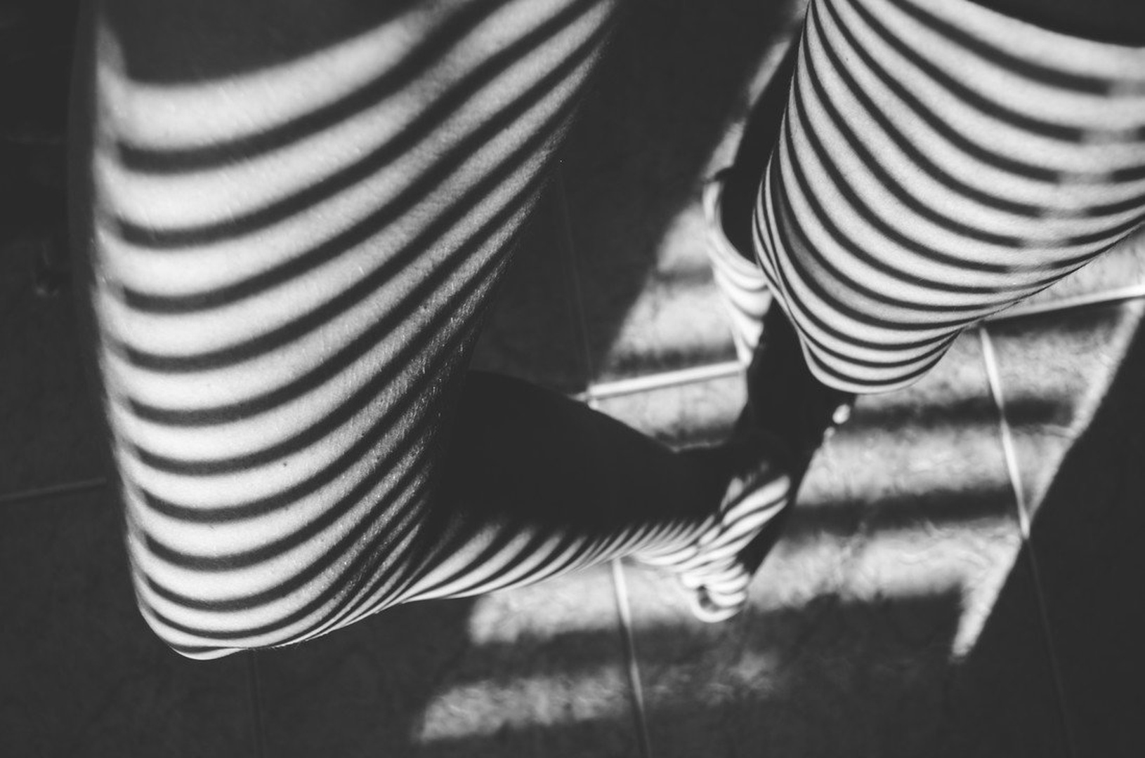 lines by manca špoljarič