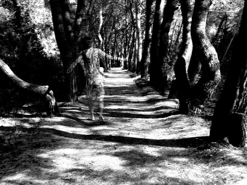 avenue Dalmacija by manca špoljarič