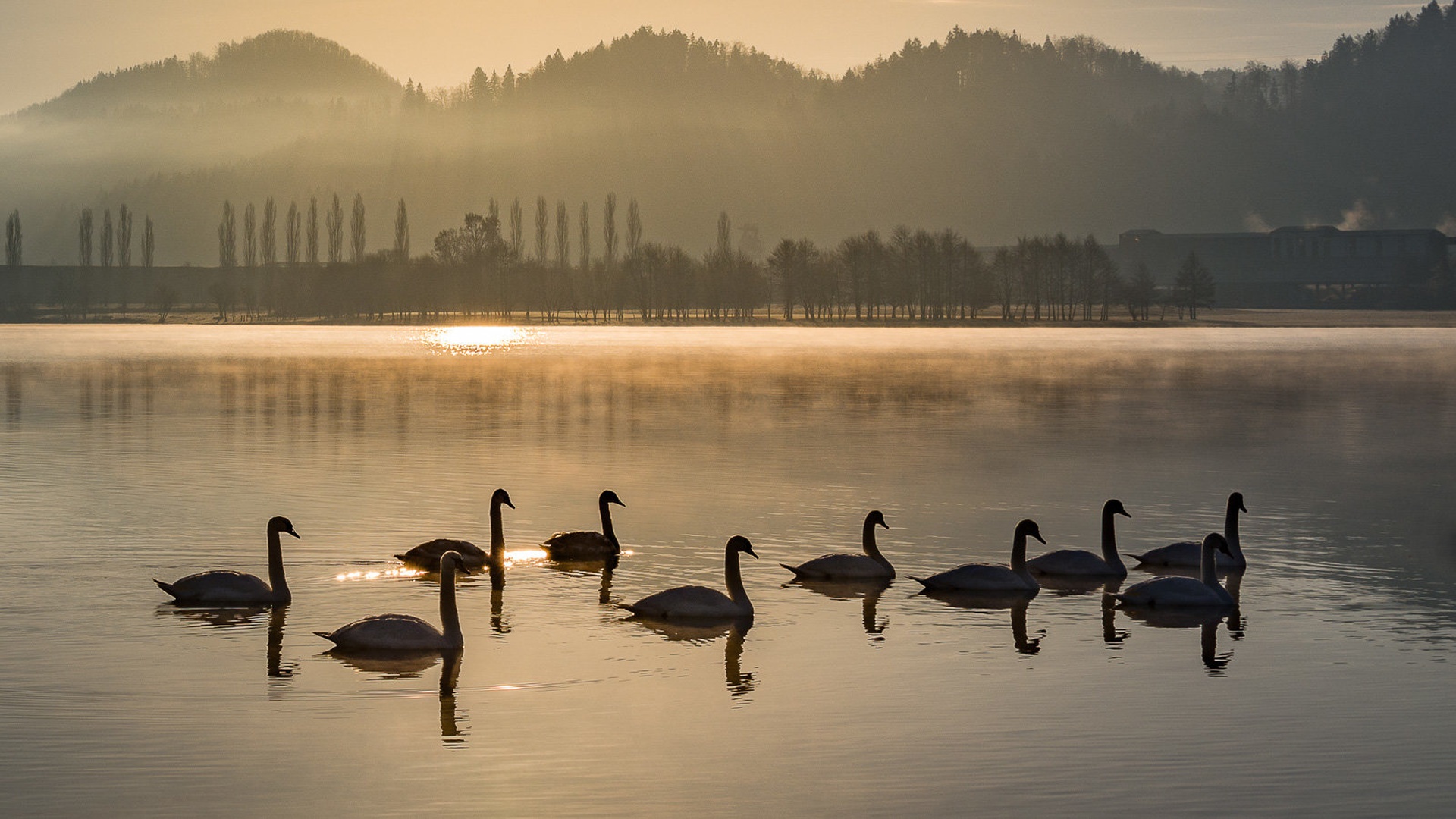 Labodje jezero by faraon