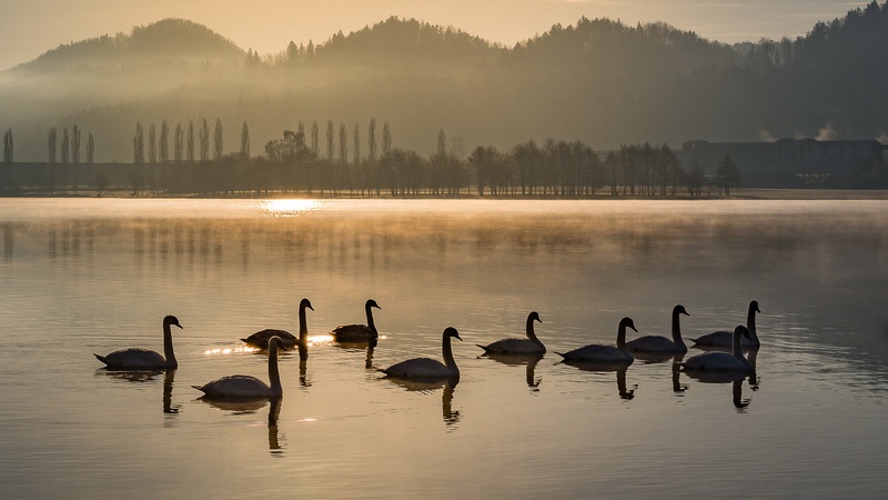 Labodje jezero by faraon