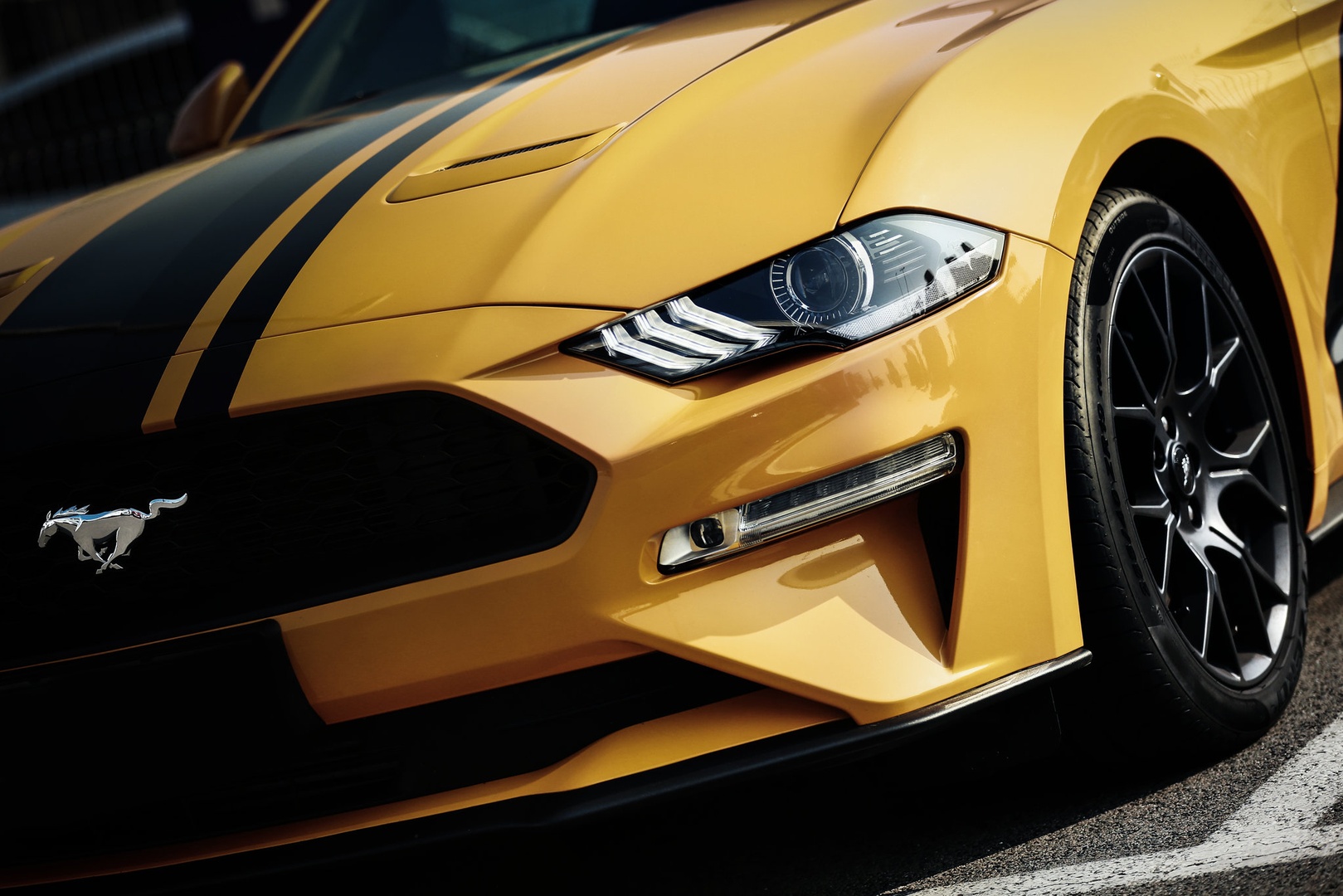 Mustang by