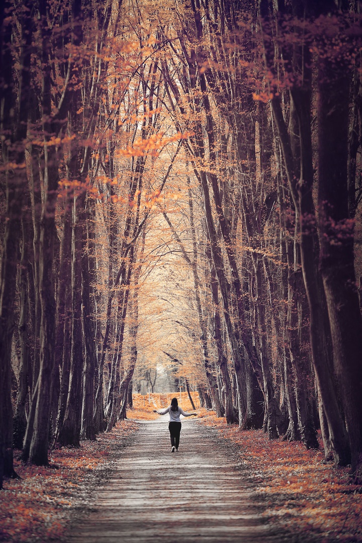 Zen by