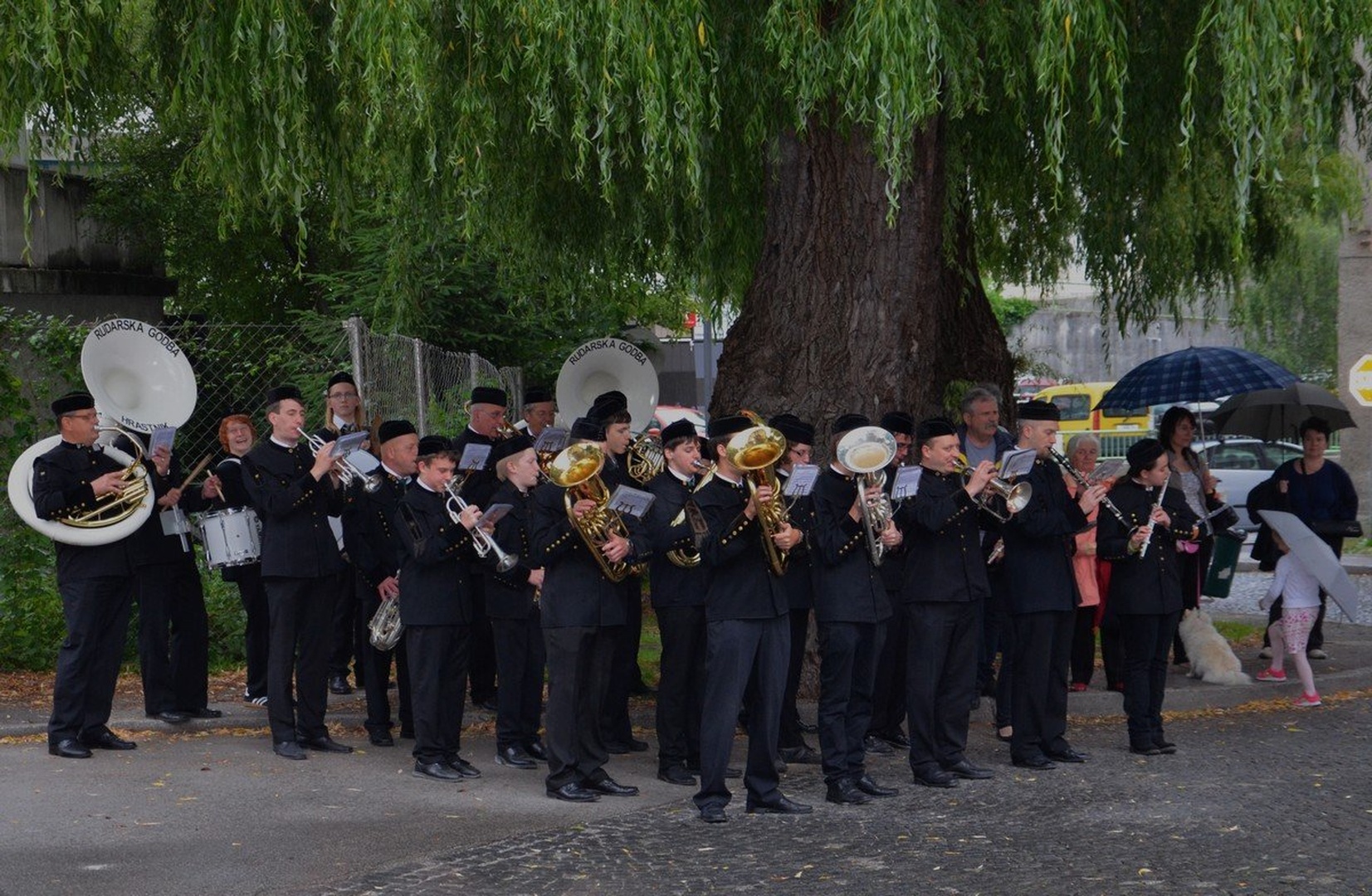 Koncert ob dežju pod vrbo by Ivan Bukovšek