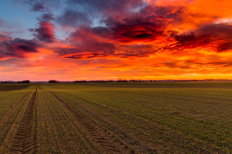"Vesoljske ladje" nad polji by Mitja