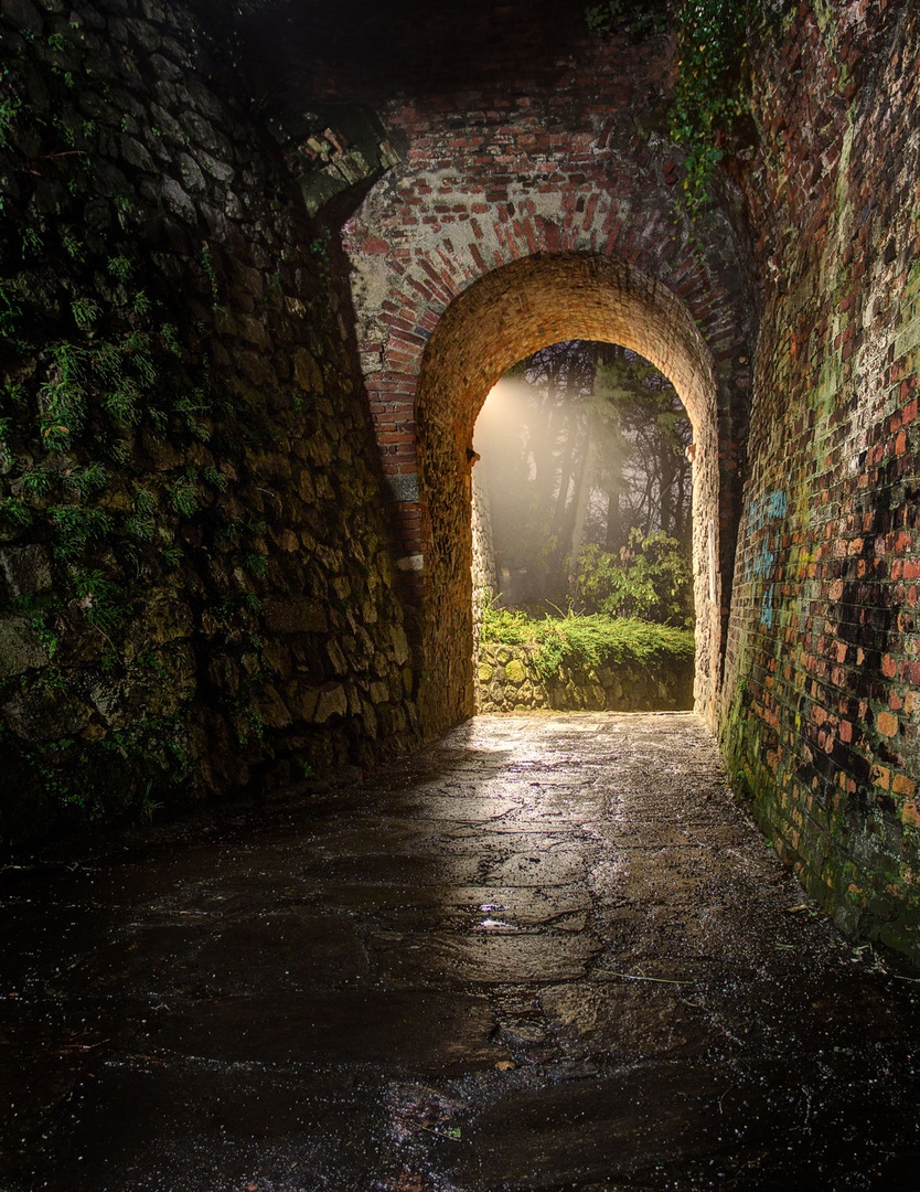 Fairytale gate by Tomaž K.