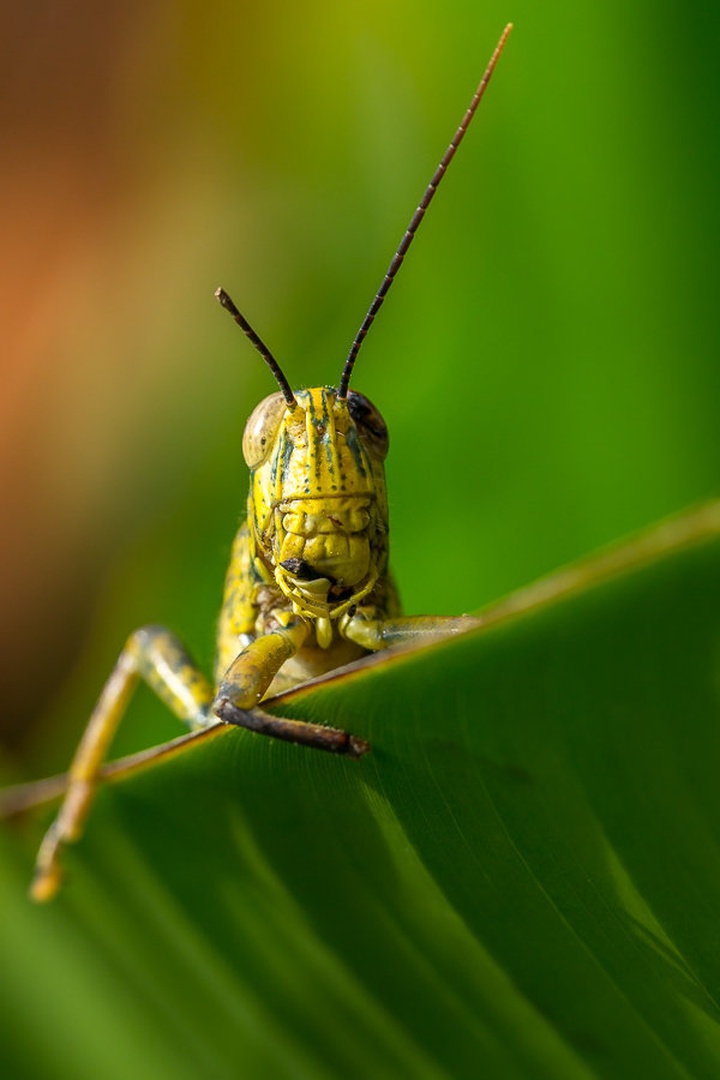 Hard life by Tomaž K.