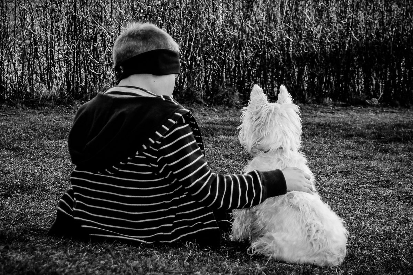 You've Got a Friend by Tomaž K.