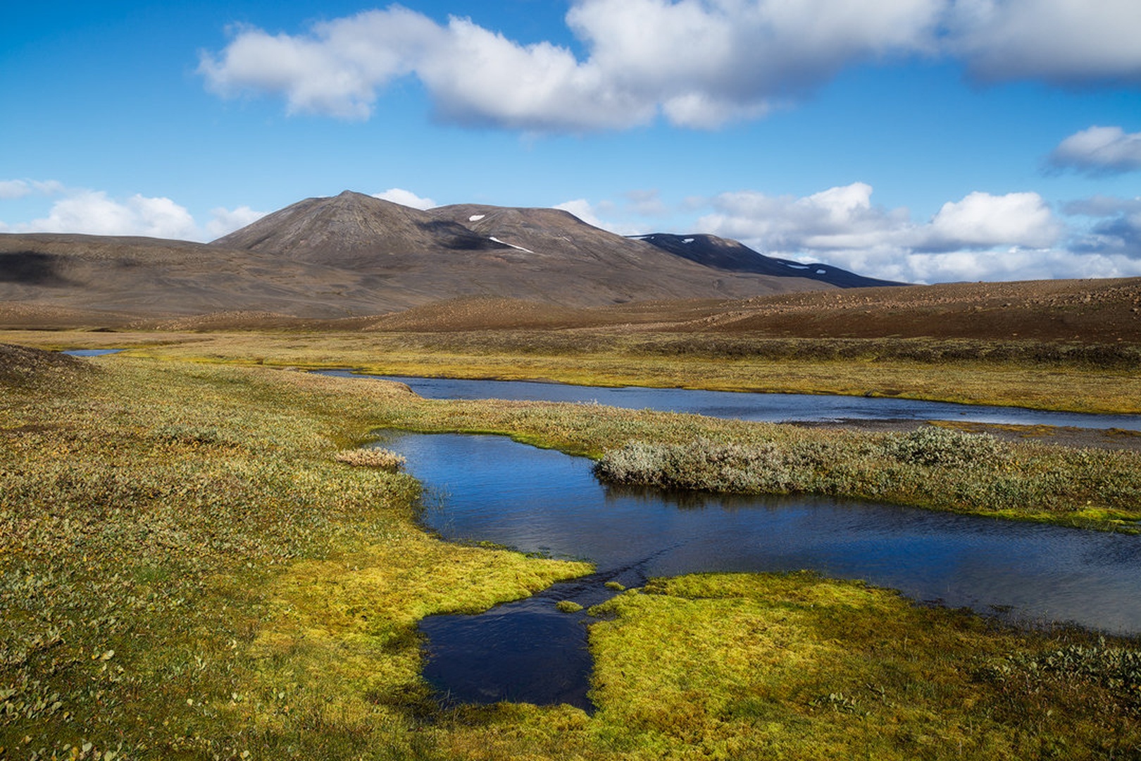 Iceland Greens by Tomaž K.