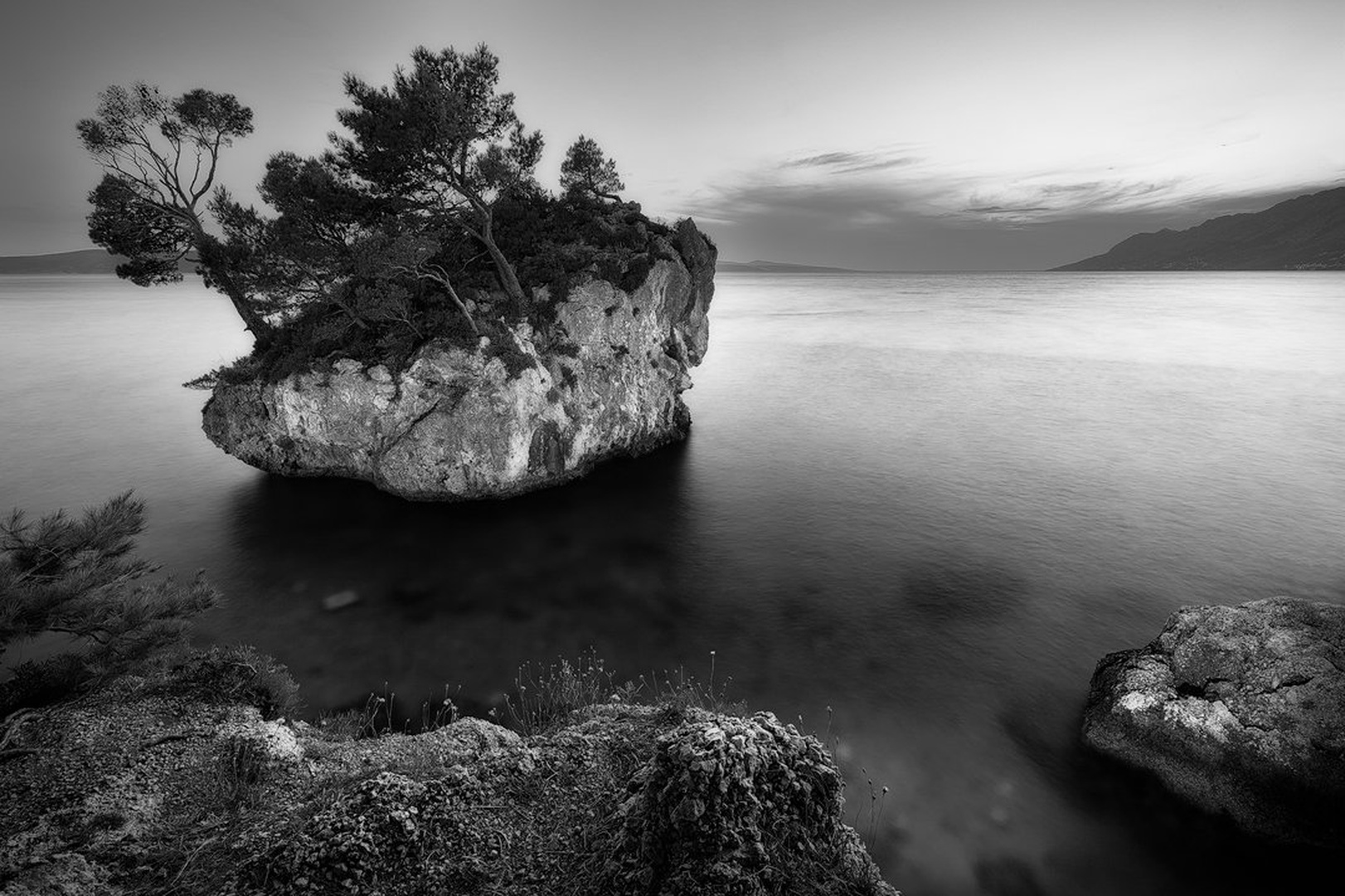 Steady by Tomaž K.