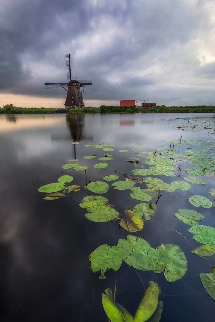 Kinderdijk by Tomaž K.