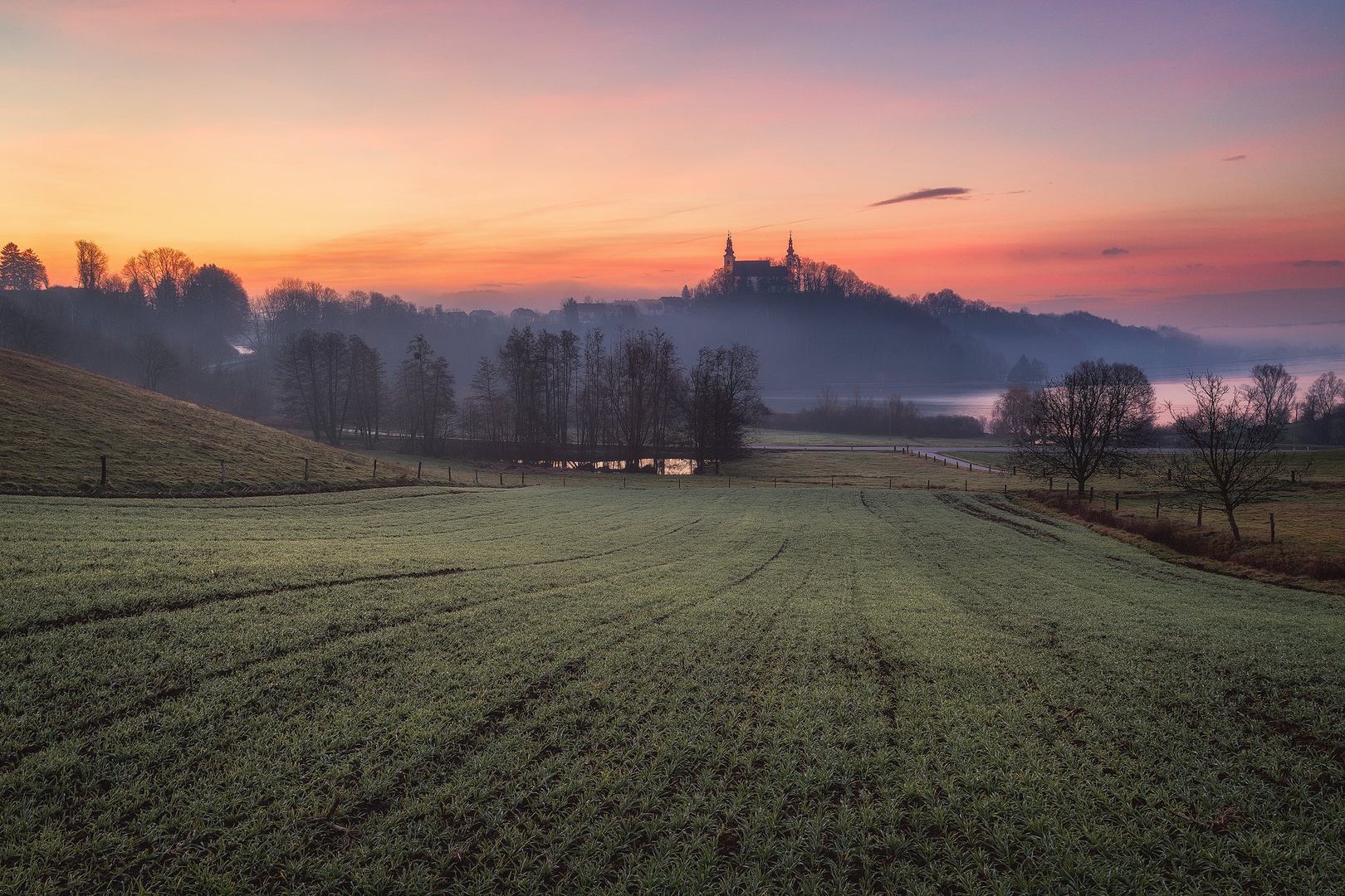 Jutro na polju by Tomaž K.