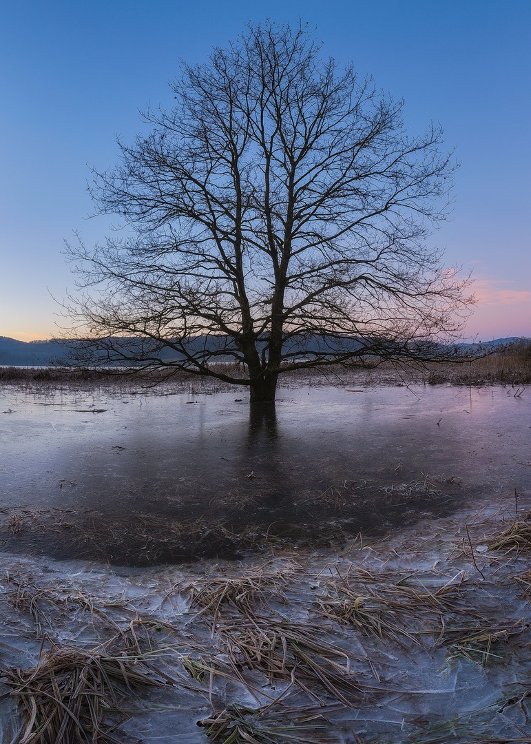 Frozen by Tomaž K.