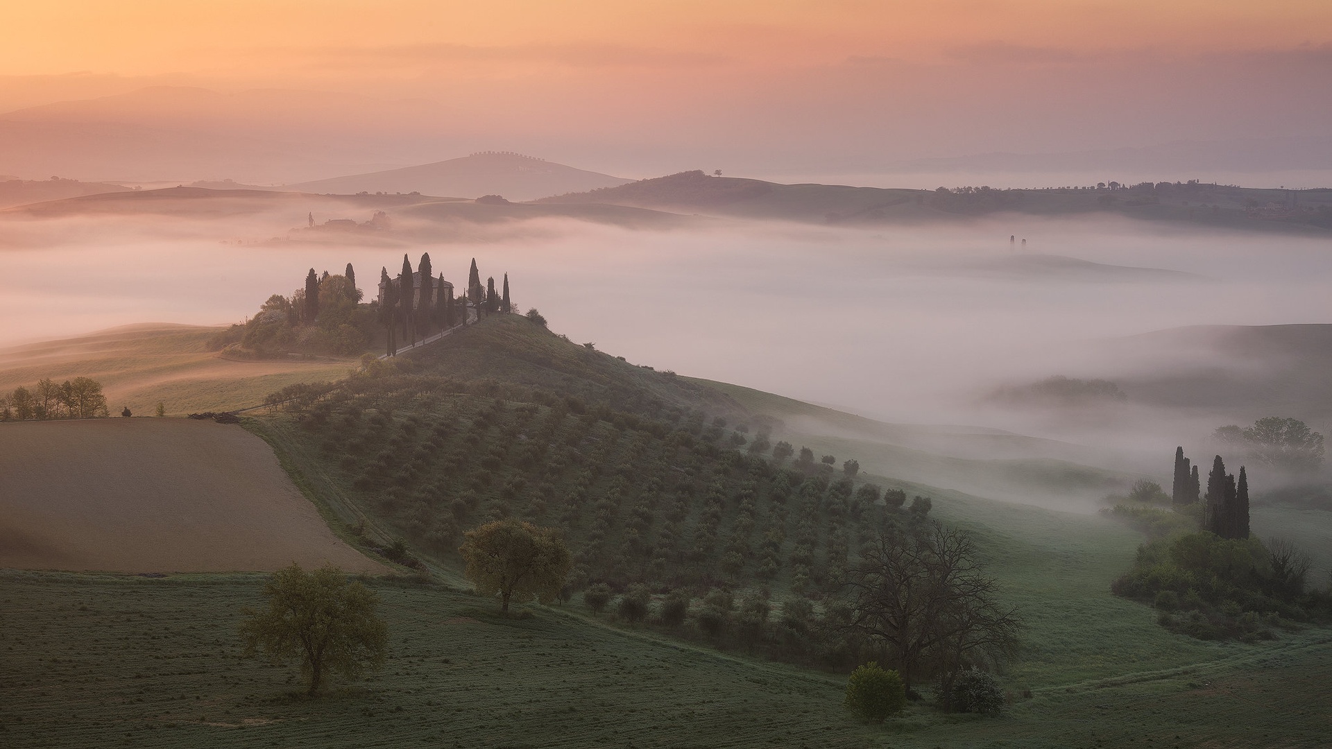 Podere Belvedere by Tomaž K.