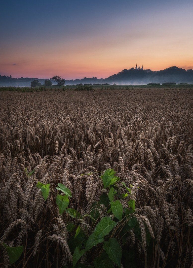 Summer sunrise by Tomaž K.