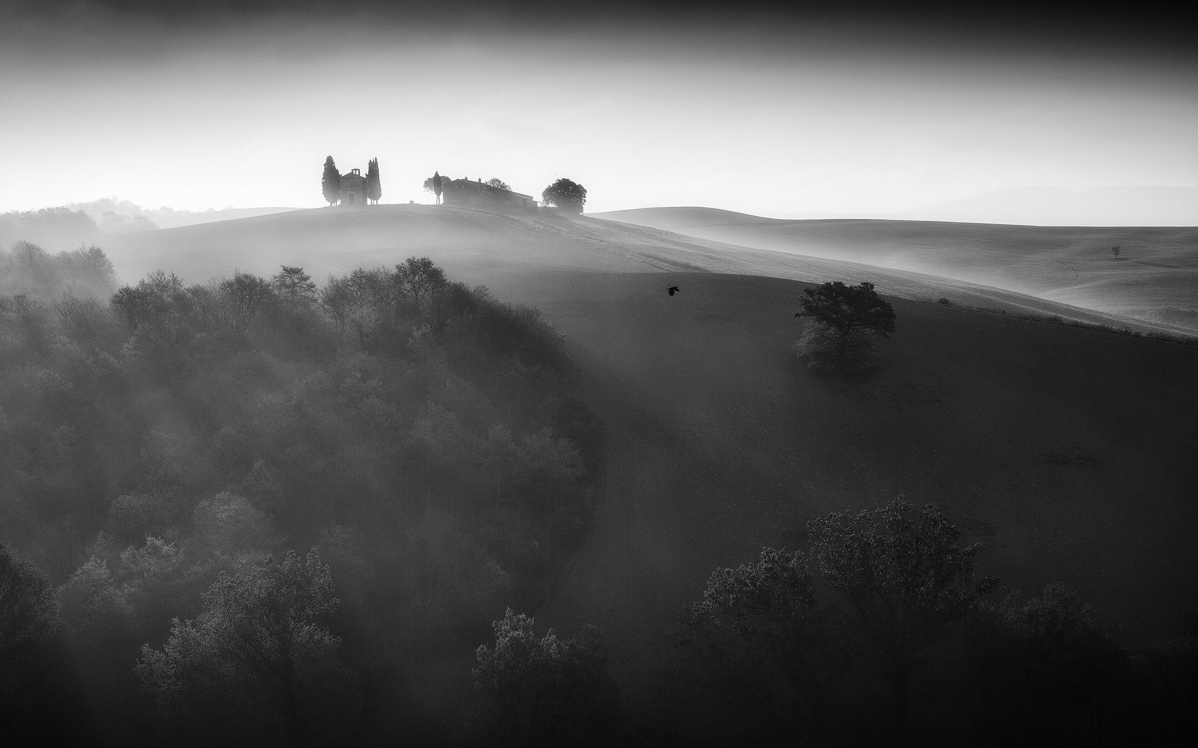 Flying by by Tomaž K.