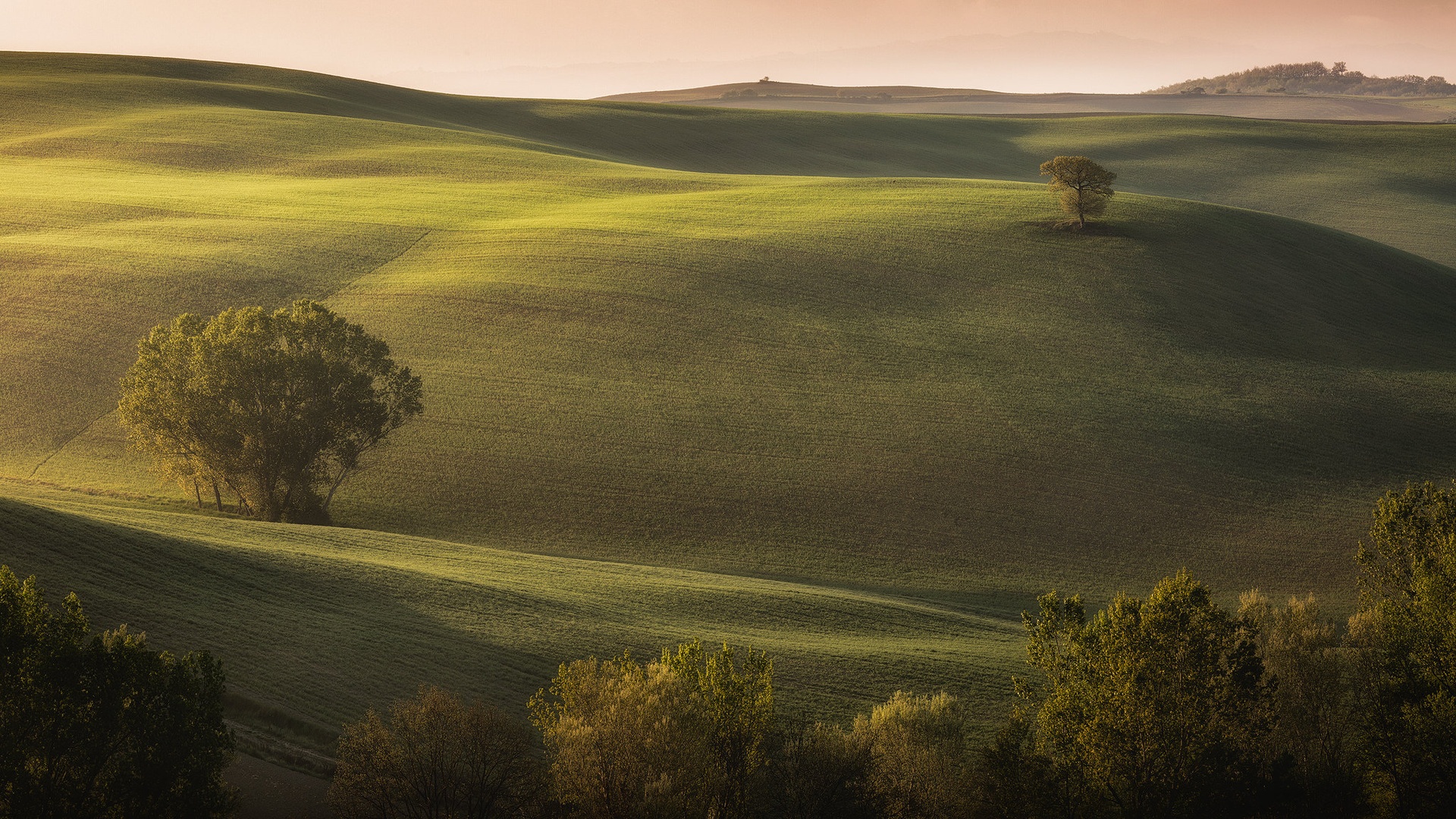 Jutro v Toscani by Tomaž K.