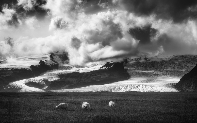 Trio by Tomaž K.