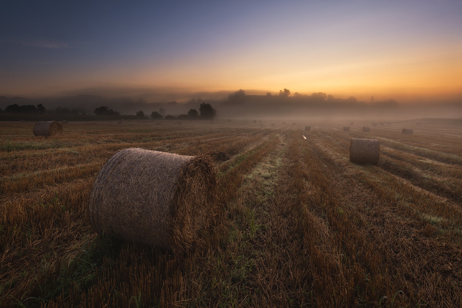 Jutro na polju by Tomaž K.
