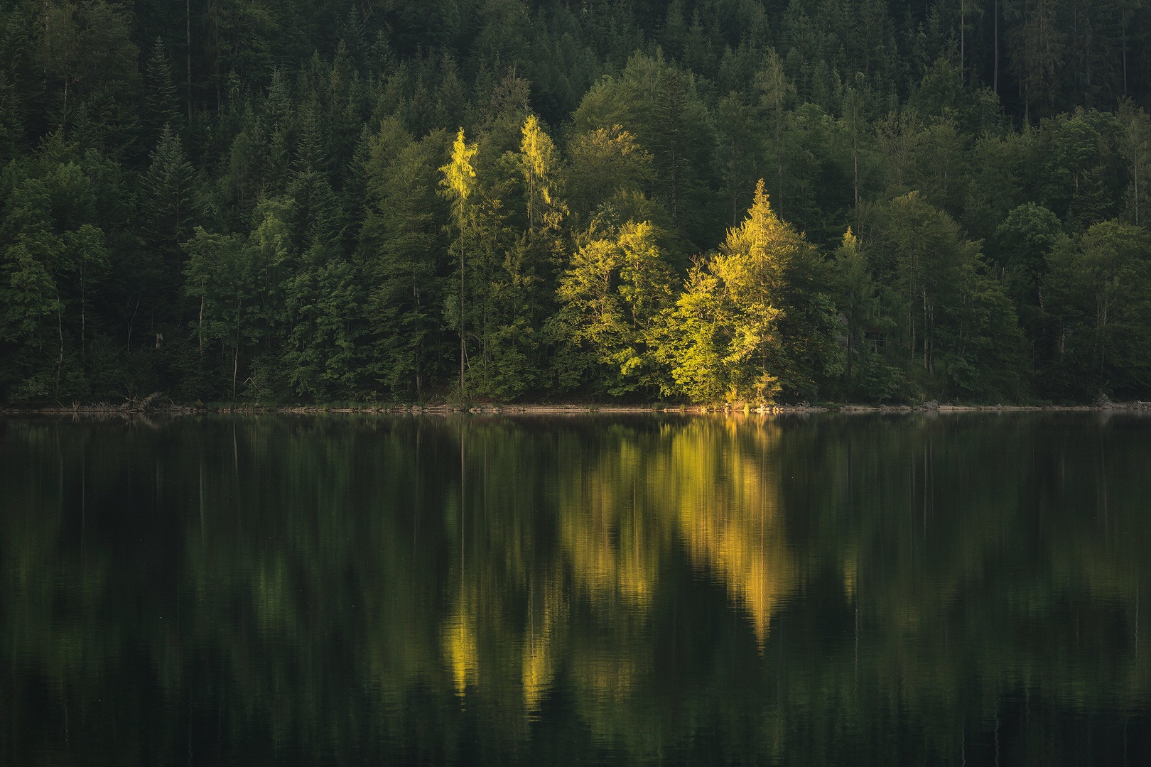 Summer greens by Tomaž K.