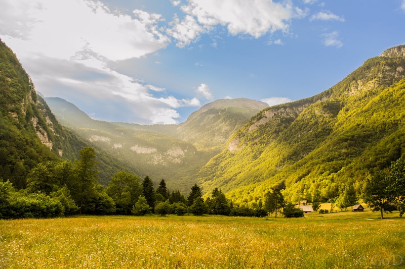 ooh Summer Days by Goran Vadlja
