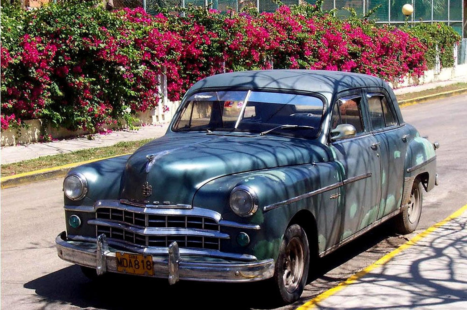 Oldtimer by ponytail