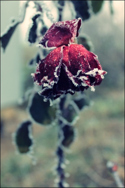 *.* by puzzle