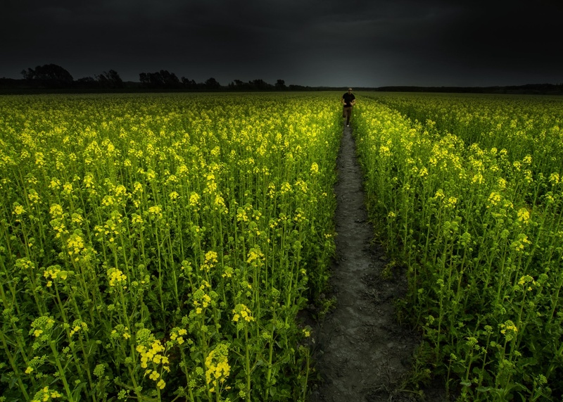 Fugitive from god by Tadej Turk