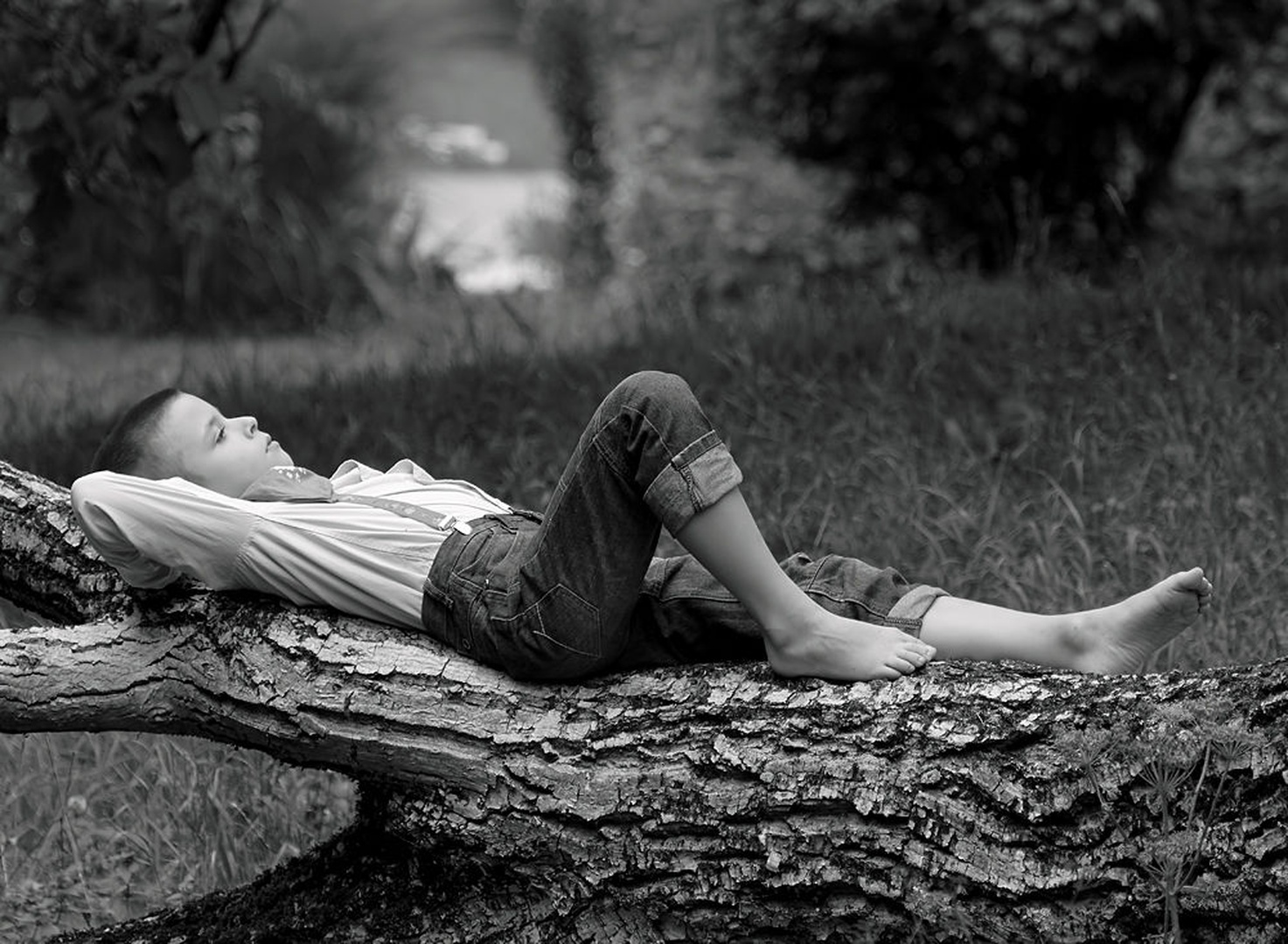 sunday rest by Elvis Karahmetovič