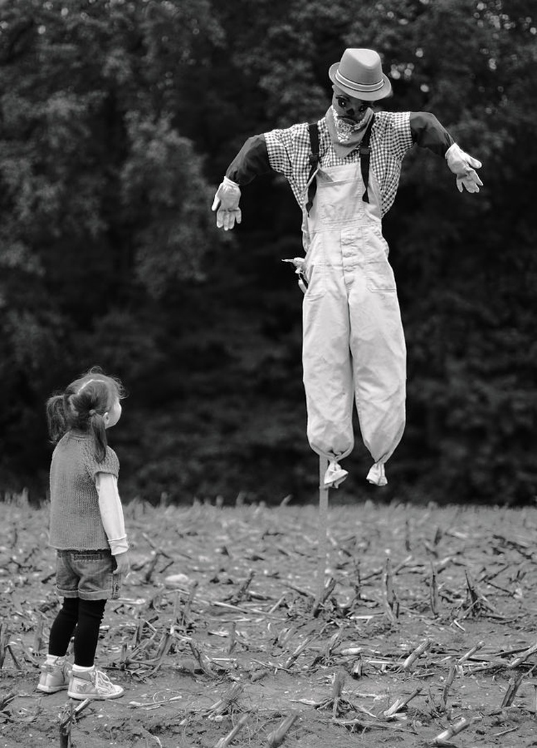 Scarecrow by Elvis Karahmetovič
