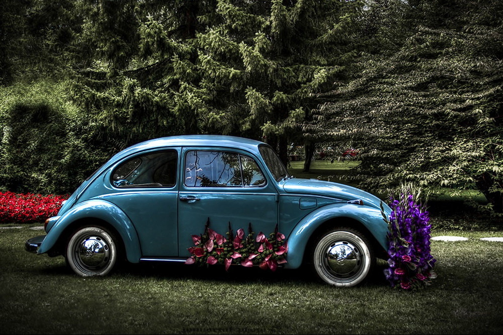 Flower Bug by Elvis Karahmetovič