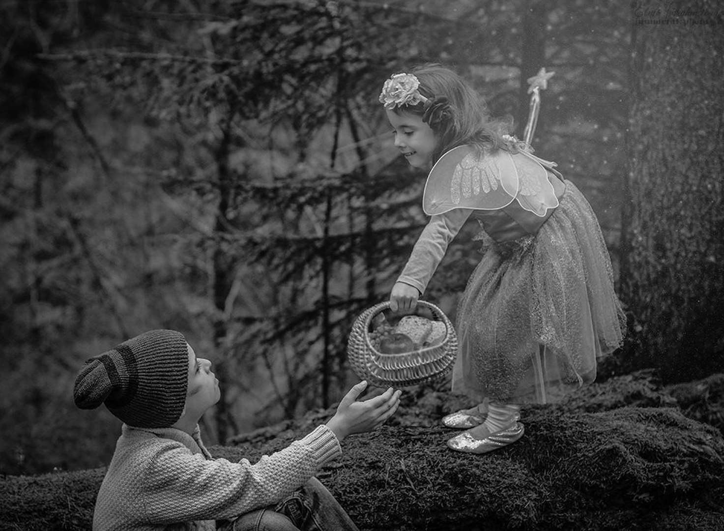Good Little Fairy by Elvis Karahmetovič