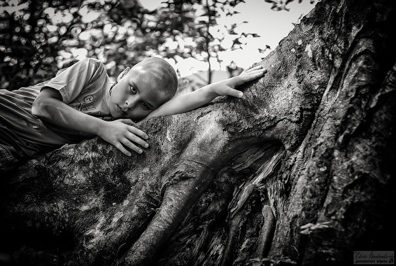 The Lost Child V by Elvis Karahmetovič