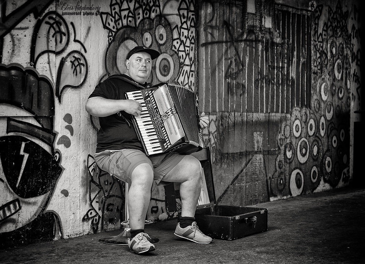 Street Accordionist by Elvis Karahmetovič