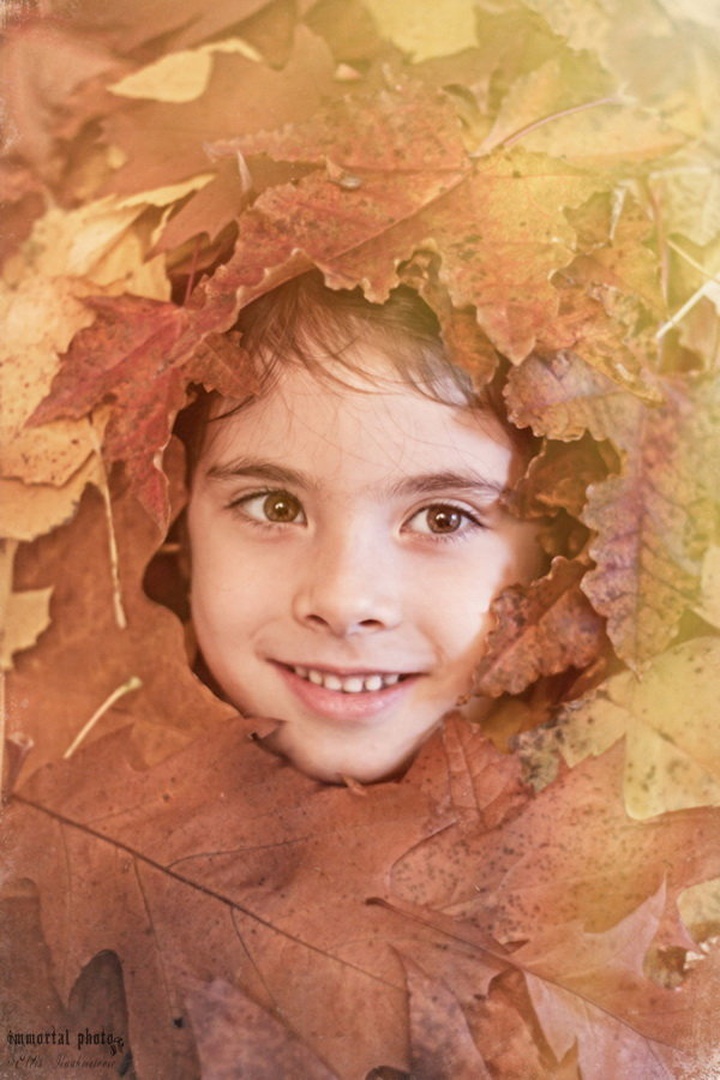 Autumn Joy by Elvis Karahmetovič