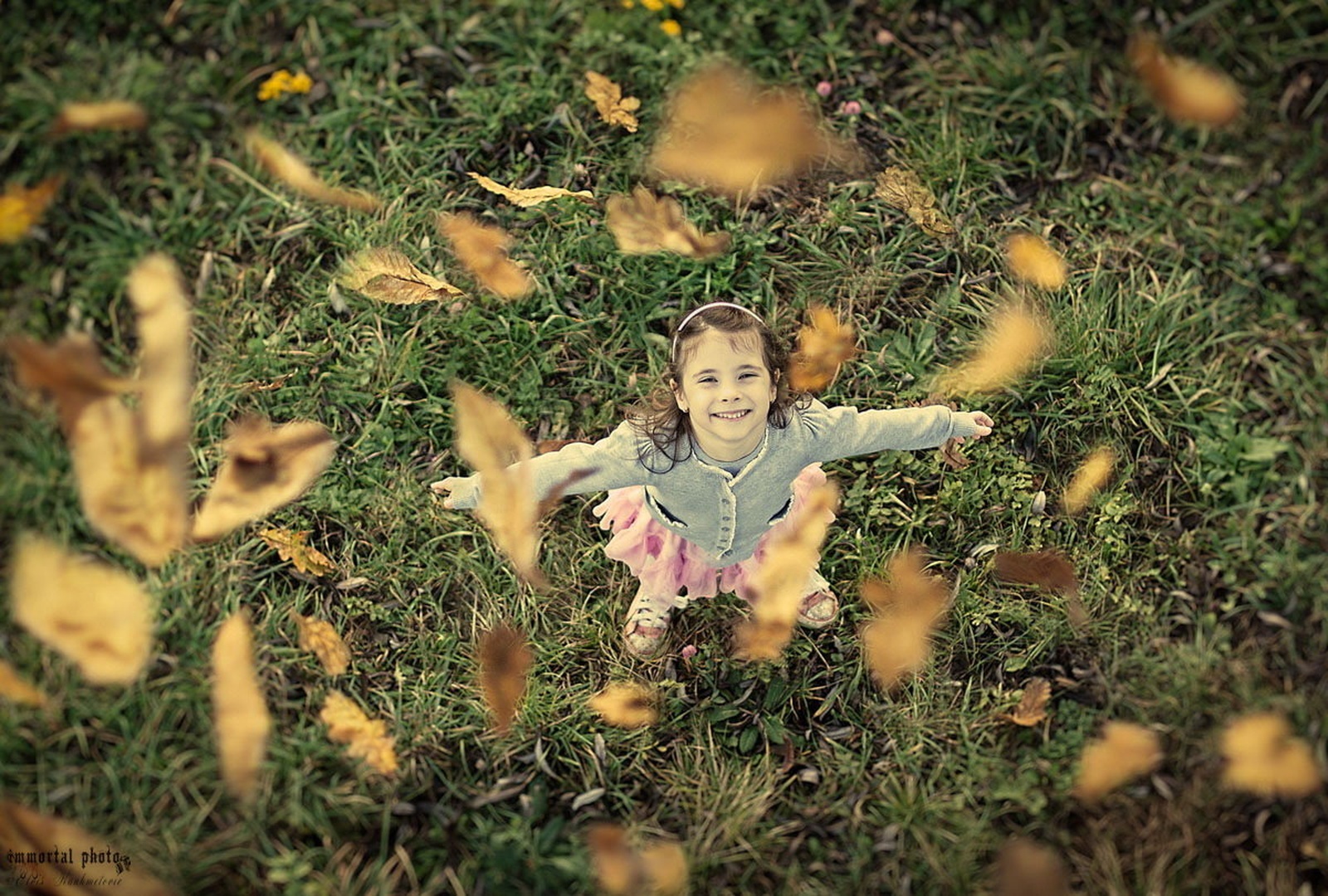 Autumn Joy... by Elvis Karahmetovič