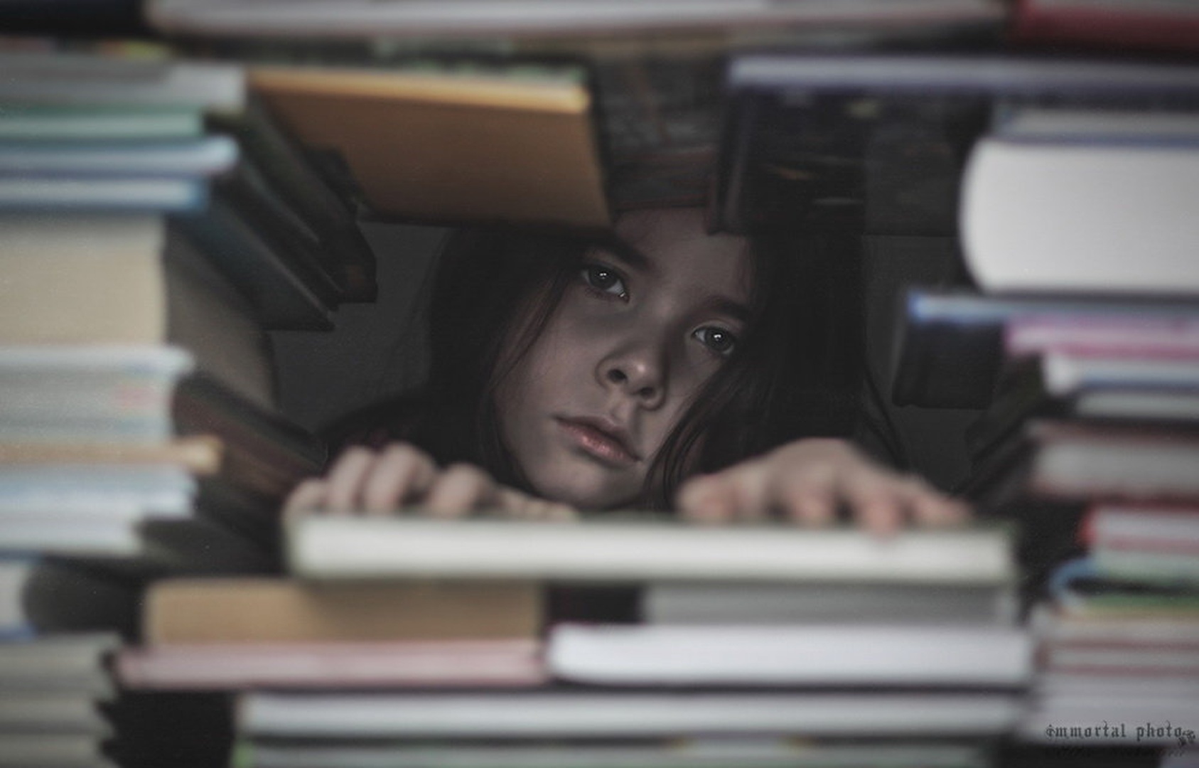 Trapped in books by Elvis Karahmetovič