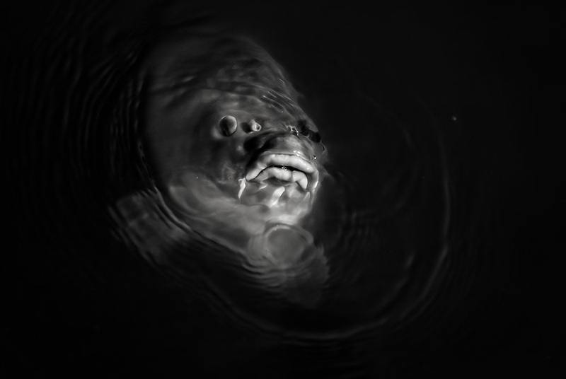from the depths by Elvis Karahmetovič