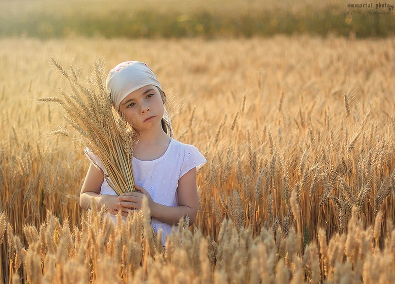 Wheatfield by Elvis Karahmetovič
